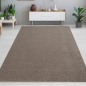 Preview: Eleganter grauer Teppich – perfekt geeignet für Flur, Diele, Garderobe oder Schlafzimmer.