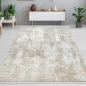 Preview: Teppich Used Look modern elegant Beige