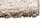 Preview: Designer Teppich Wohnzimmerteppich Kurzflor Teppich mit Bordüre braun beige creme