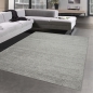 Preview: Teppich für Schlaf- & Gästezimmer in beige grau