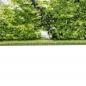 Preview: Designer Teppich Wohnzimmerteppich Kurzflor Wald Bäume in grün