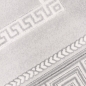 Preview: Teppich modern grau silber Bordüre Muster strapazierfähig elegant