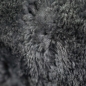 Preview: Teppich Shaggy Hochflorteppich waschbar rutschfest grau anthrazit