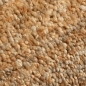 Preview: Kurzflor Teppich für Gästezimmer | warm | Unifarbe kupfer