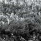 Preview: Dunkler Teppich im klassischen Stil | flauschig | anthrazit