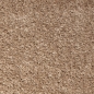 Preview: Waschbarer Shaggy Teppich für Wohnzimmer – rutschfest – in beige