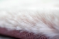 Preview: Teppich Rabbit Kunstfell Hochflorteppich Faux Fur rosa