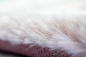 Preview: Teppich weich Kunstfell Hochflorteppich Faux Fur waschbar rosa