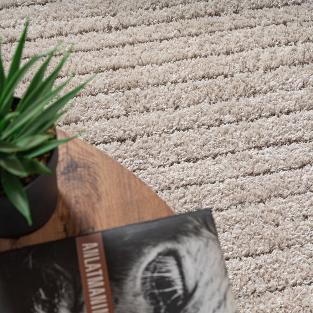 Moderner Teppich Beige Linienmuster weich robust für Wohnräume